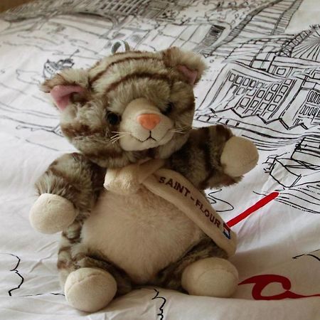 La Maison Des Chats Saint-Mary-le-Plain エクステリア 写真