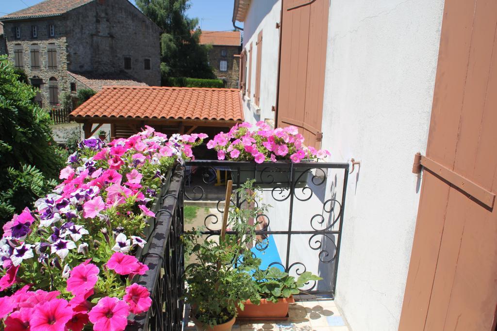 La Maison Des Chats Saint-Mary-le-Plain エクステリア 写真