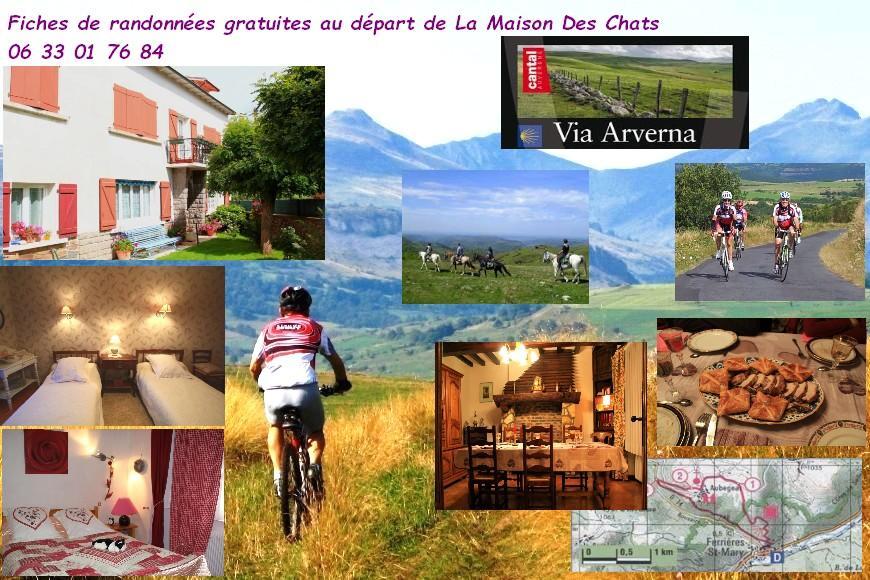 La Maison Des Chats Saint-Mary-le-Plain エクステリア 写真